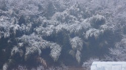 최근 소식