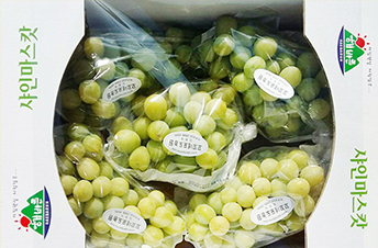 θӽı 4kg (ù),̼-4~6
