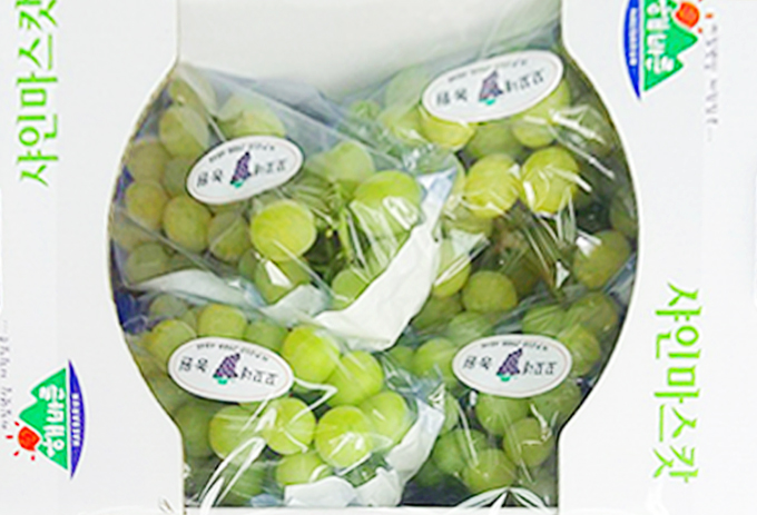 θӽı 2kg (ù񺰵), -2~4